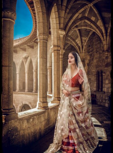 Handloom Wedding 2